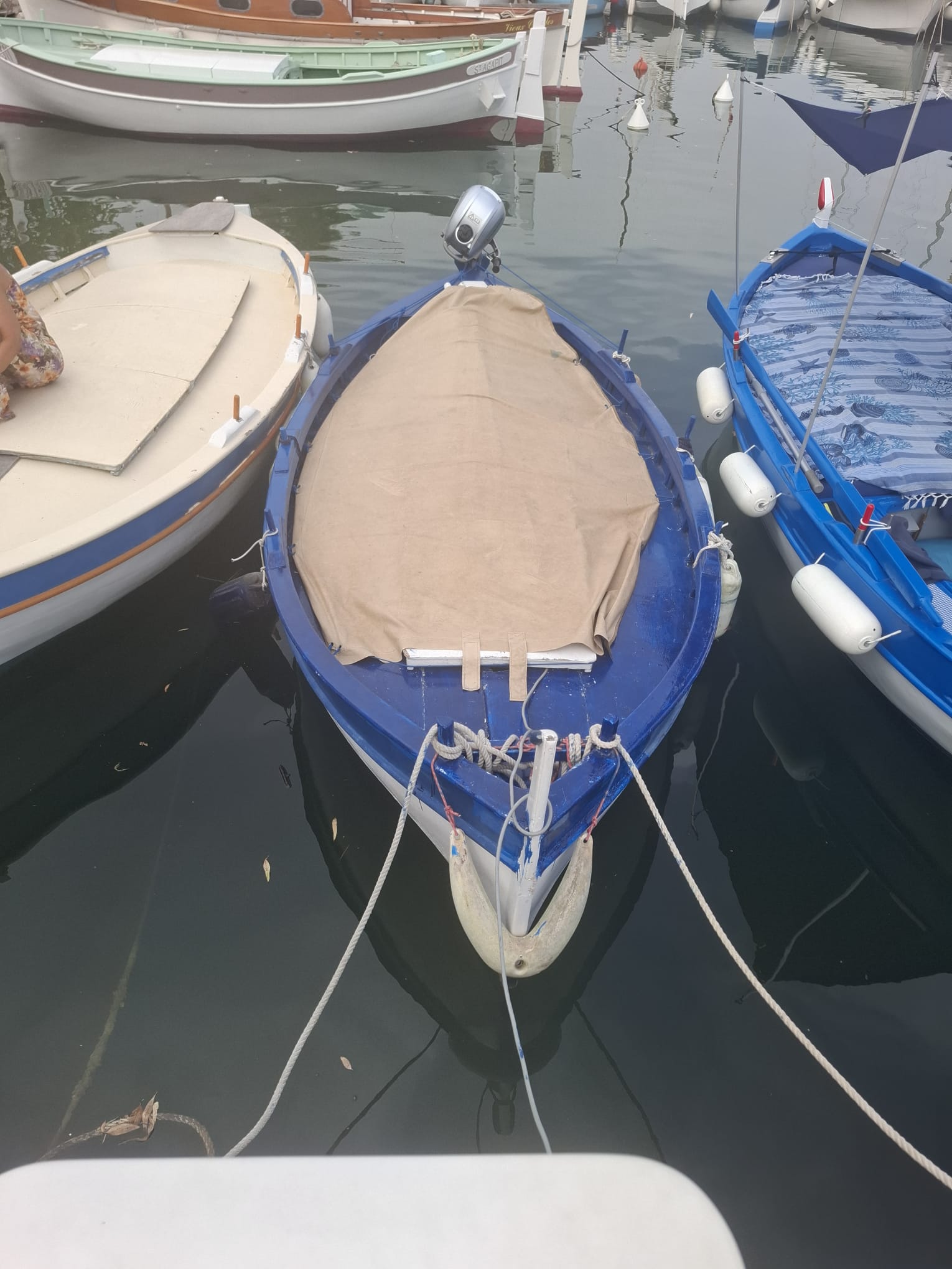A Vendre Pointu Porthos